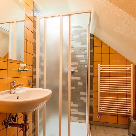 ゲストハウス Pivovar Buc 3*